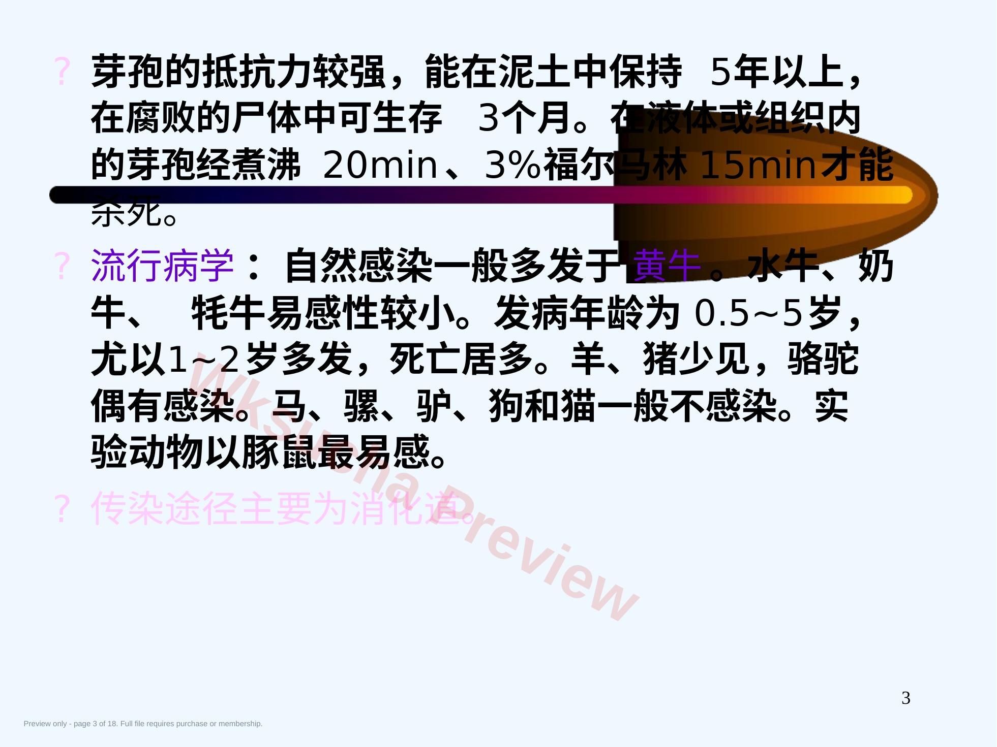 预览第 3 页