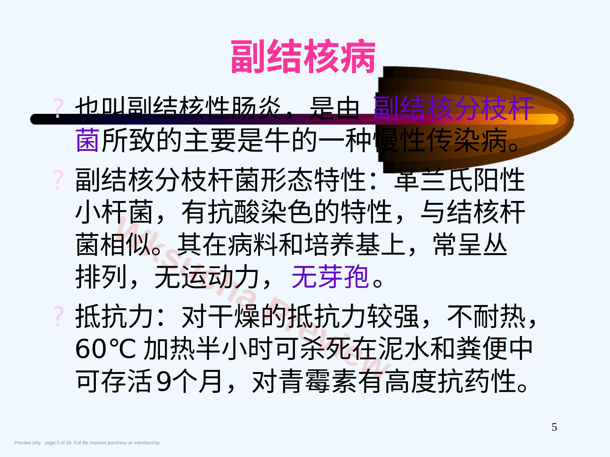 预览第 5 页