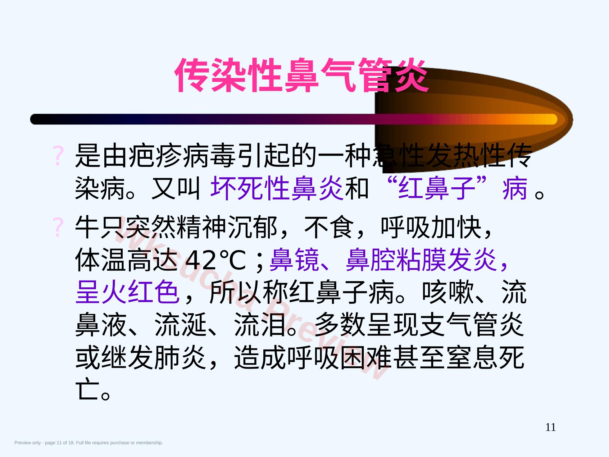 预览第 11 页