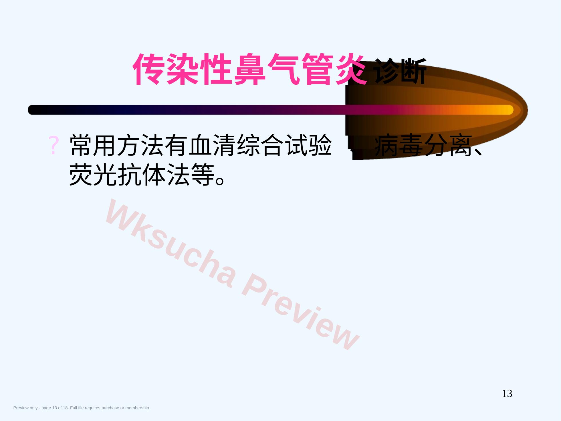预览第 13 页