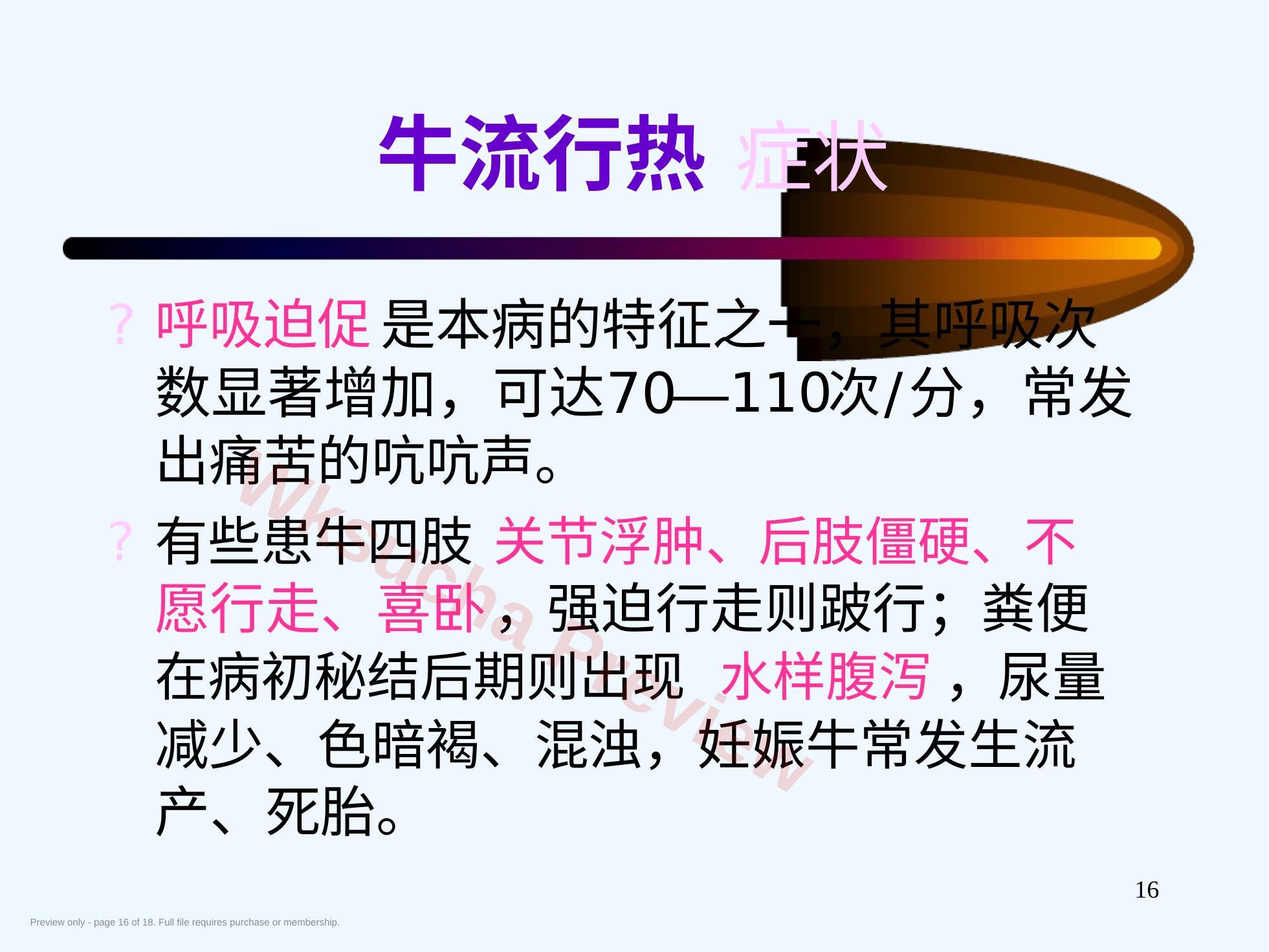 预览第 16 页