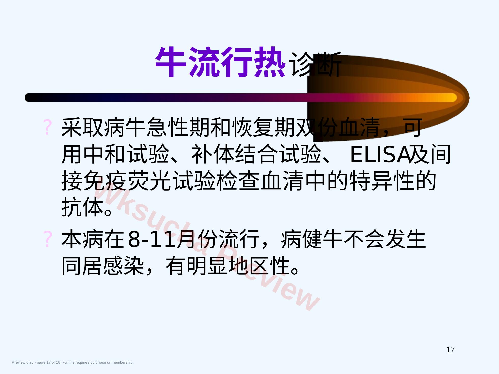 预览第 17 页