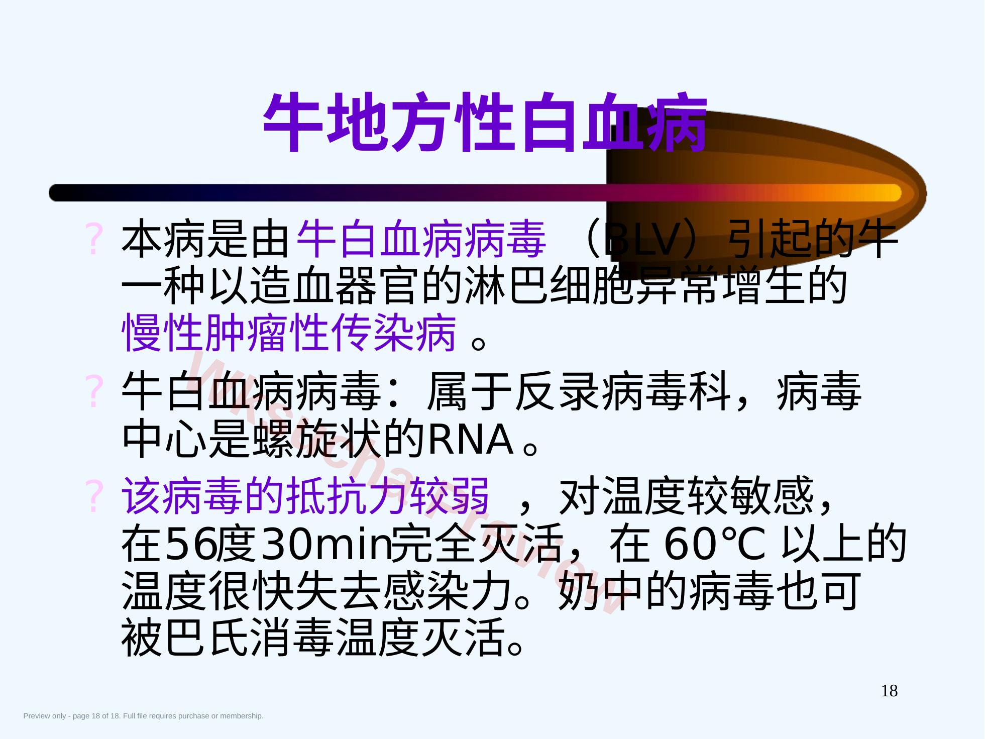 预览第 18 页