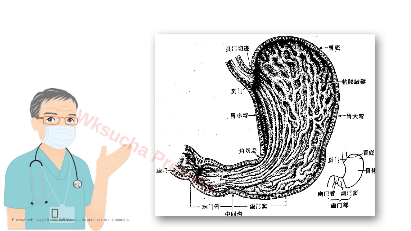 预览第 5 页