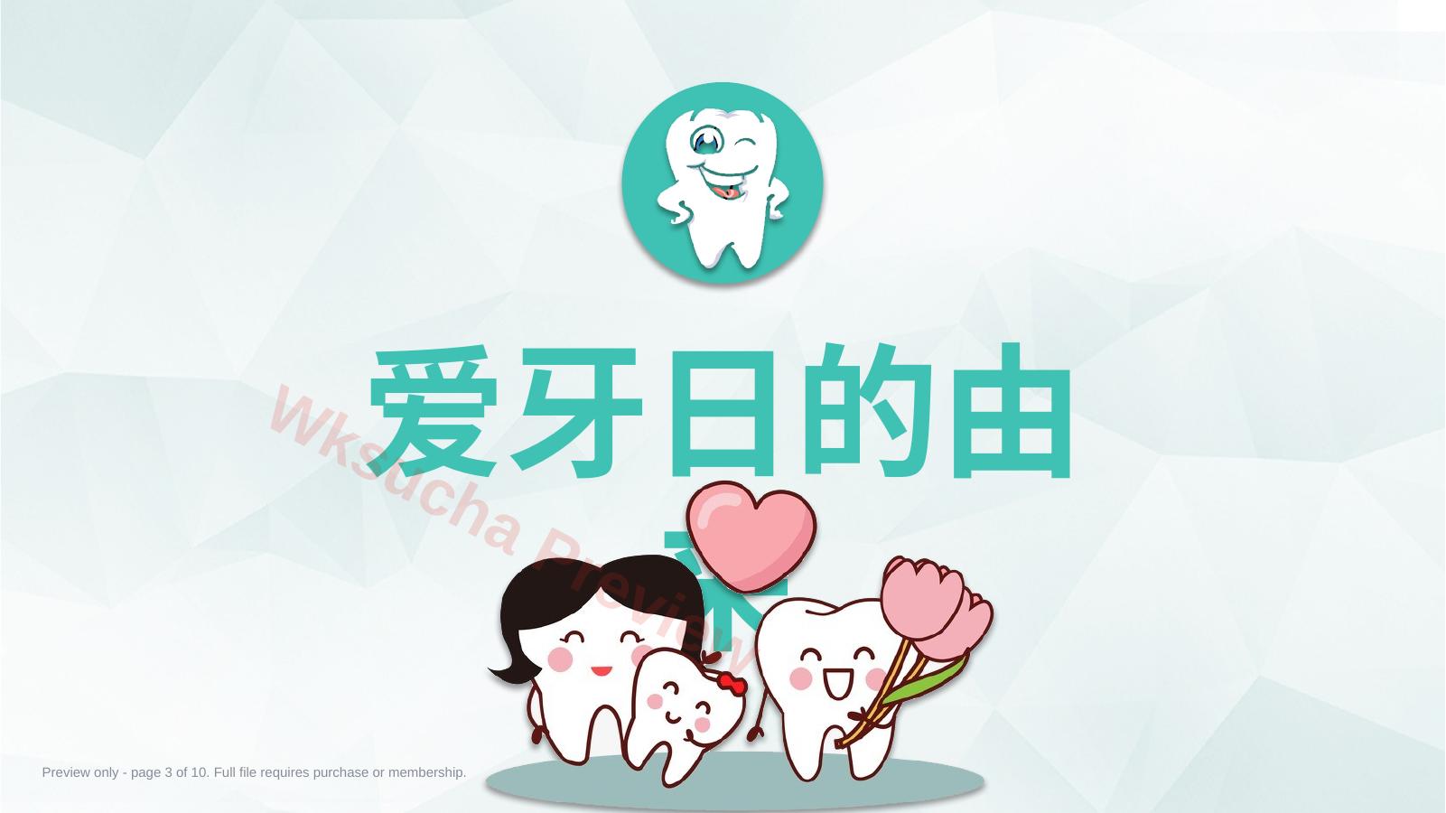 预览第 3 页