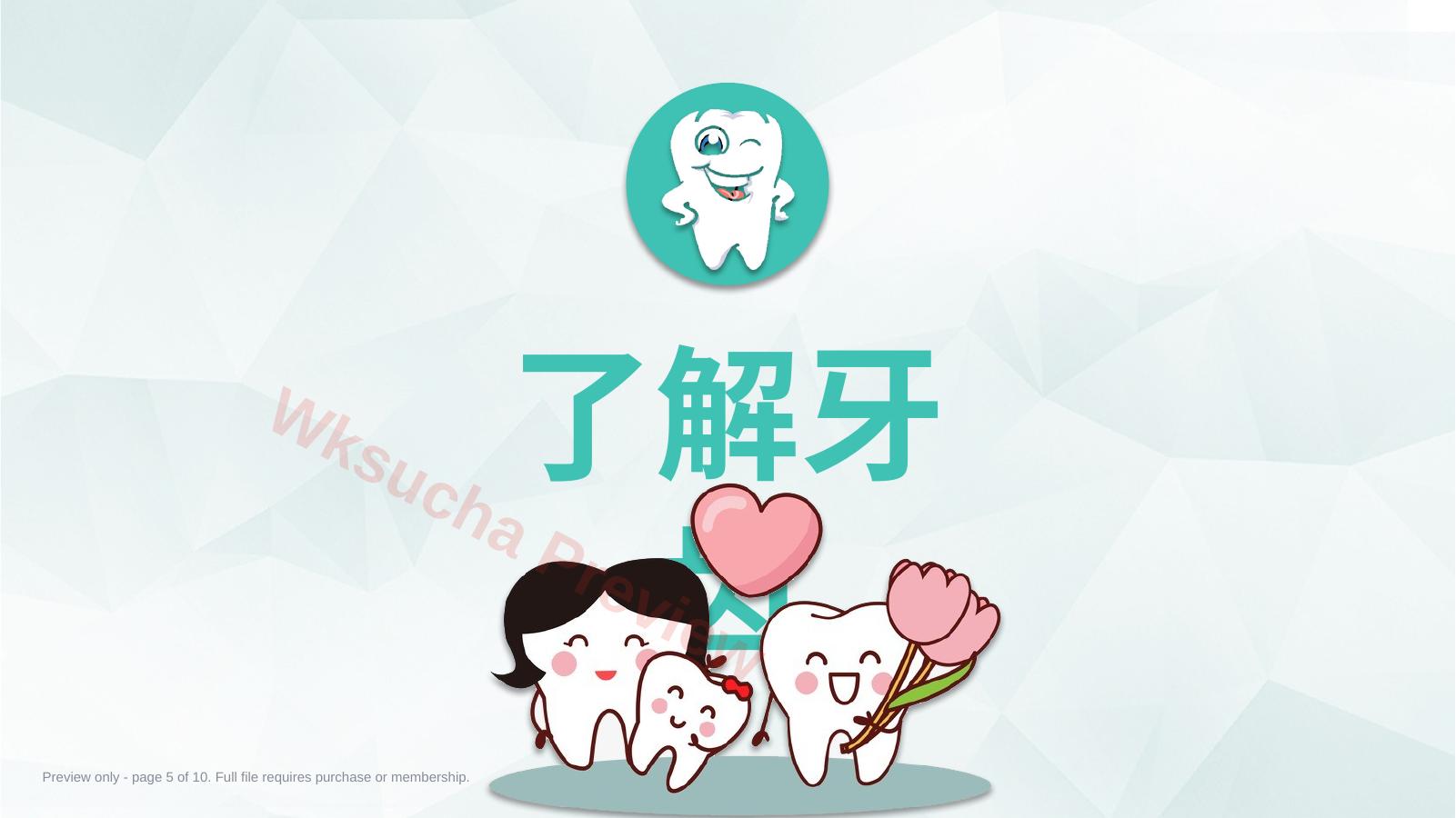 预览第 5 页