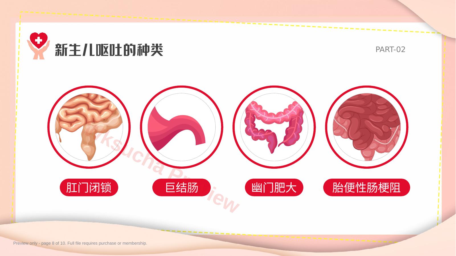 预览第 8 页