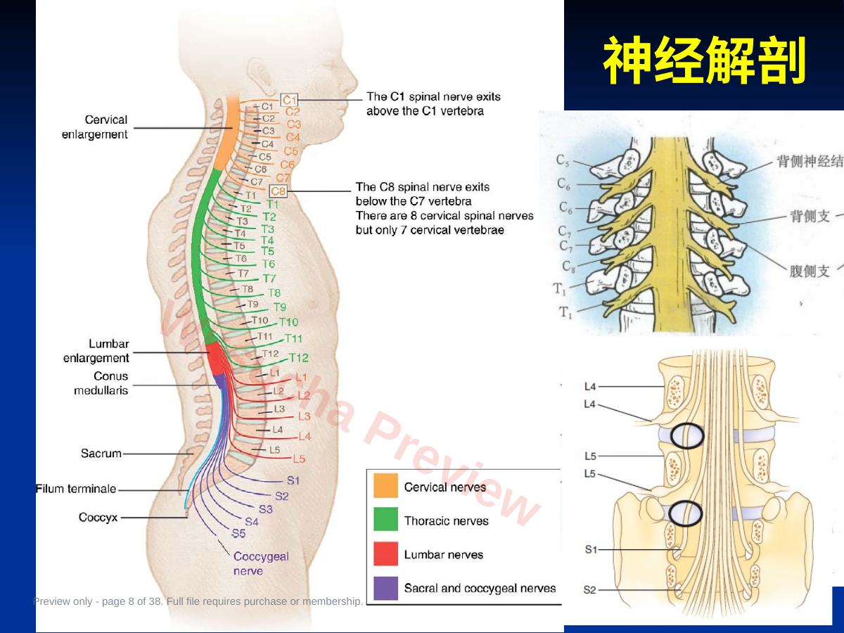 预览第 8 页