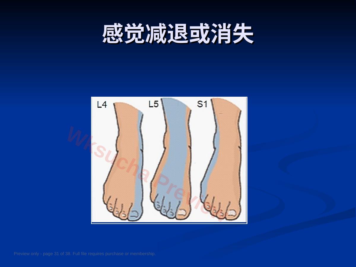 预览第 31 页