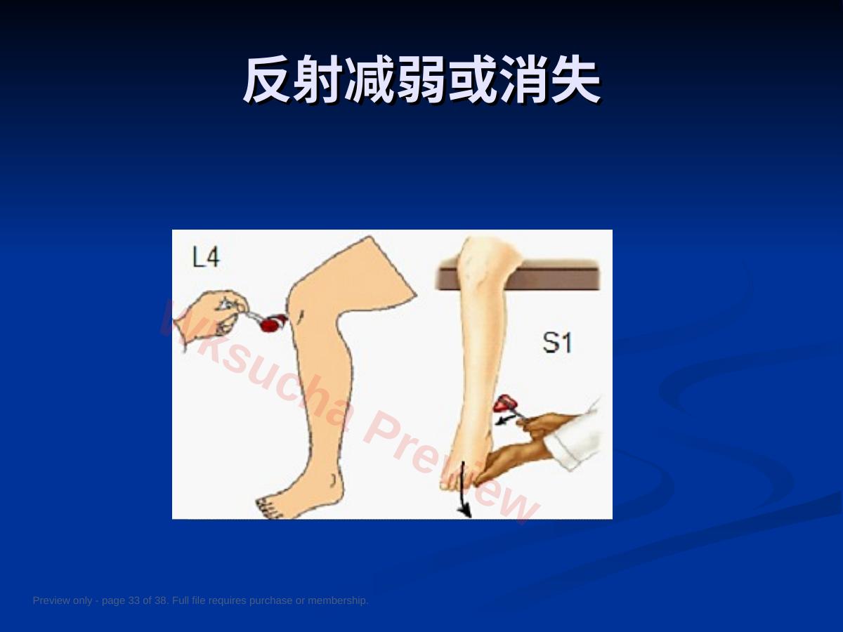 预览第 33 页