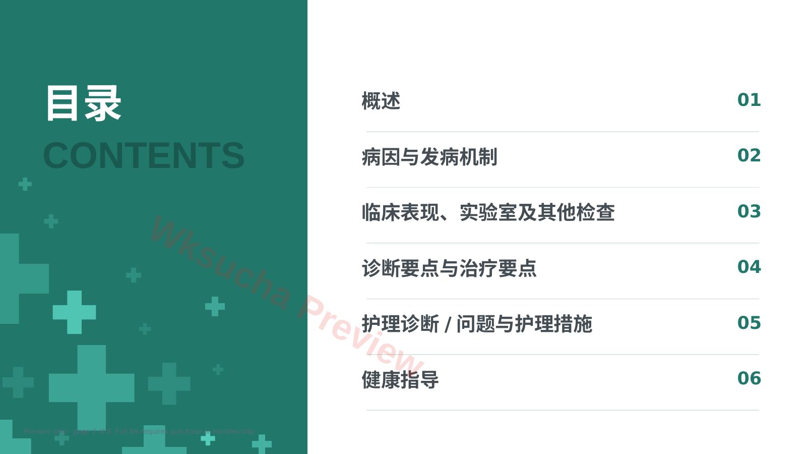 预览第 2 页