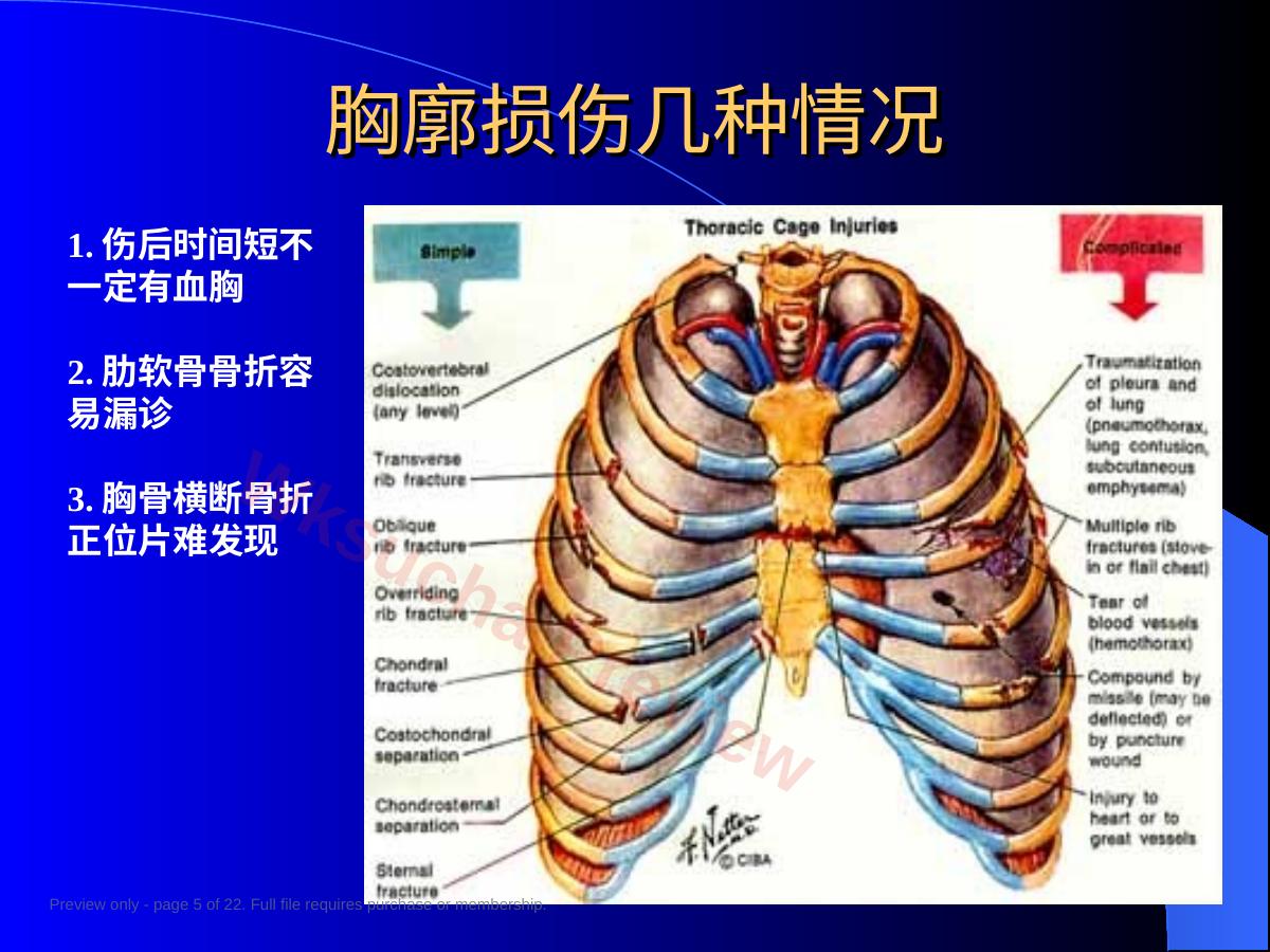预览第 5 页