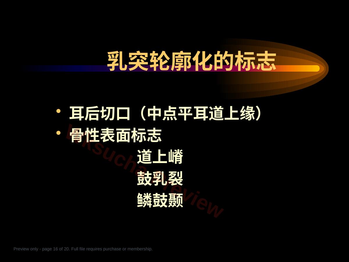 预览第 16 页
