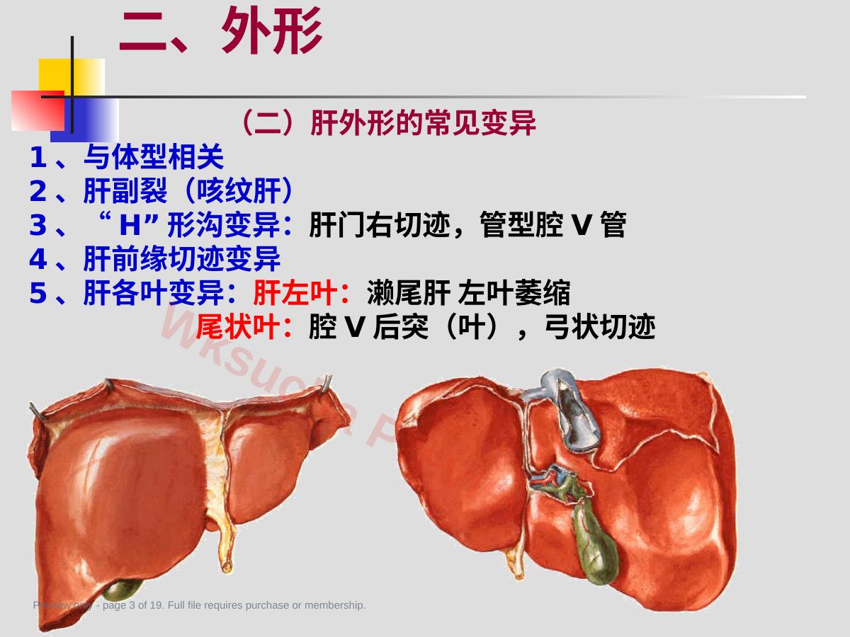 预览第 3 页