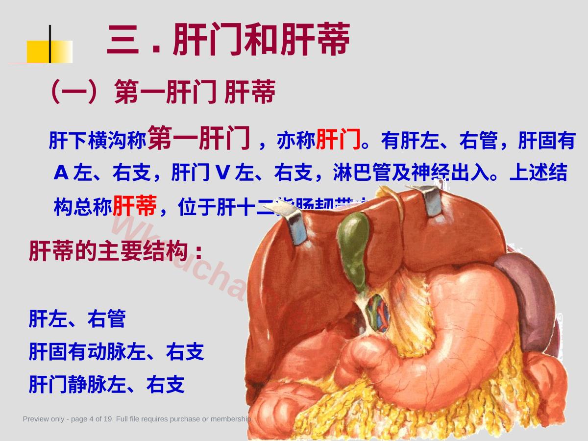 预览第 4 页