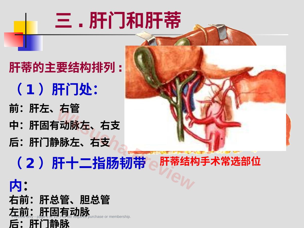 预览第 5 页