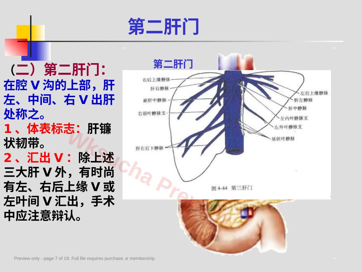 预览第 7 页