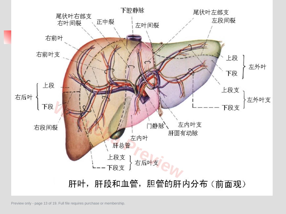 预览第 13 页