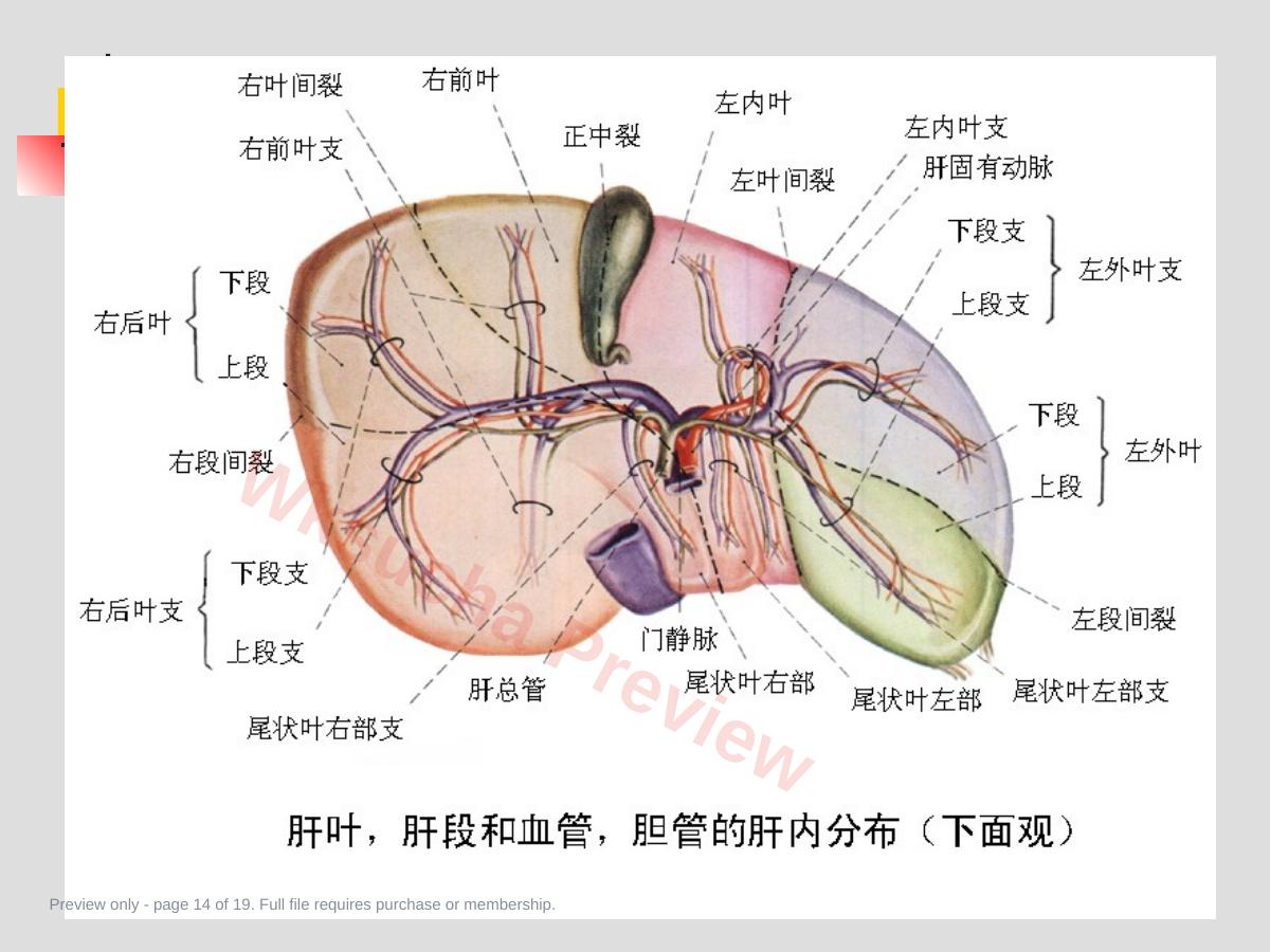 预览第 14 页