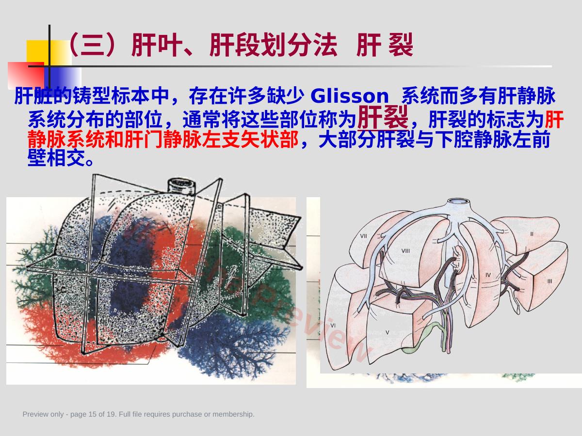 预览第 15 页