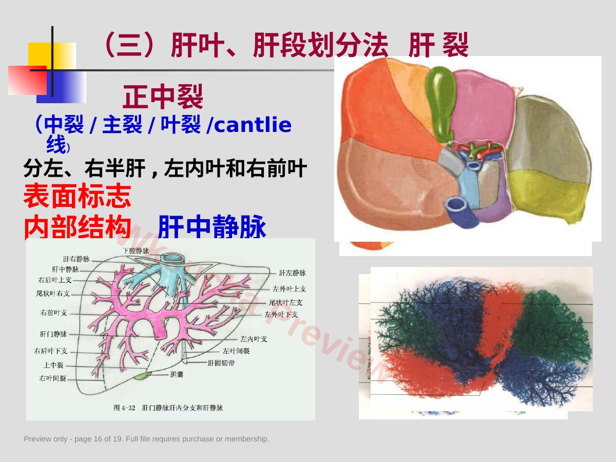 预览第 16 页