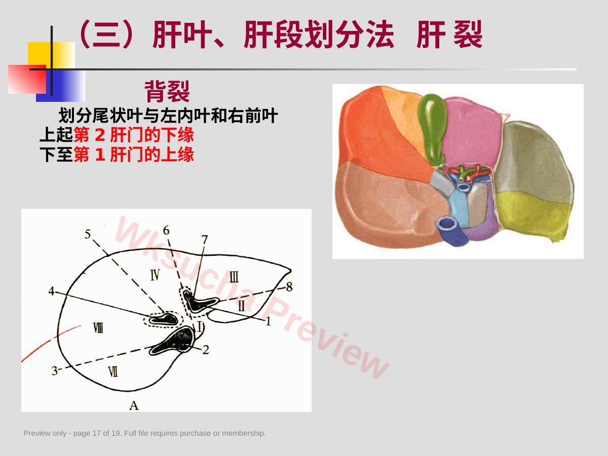预览第 17 页