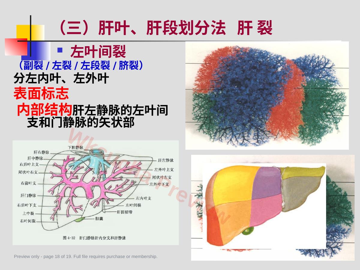 预览第 18 页