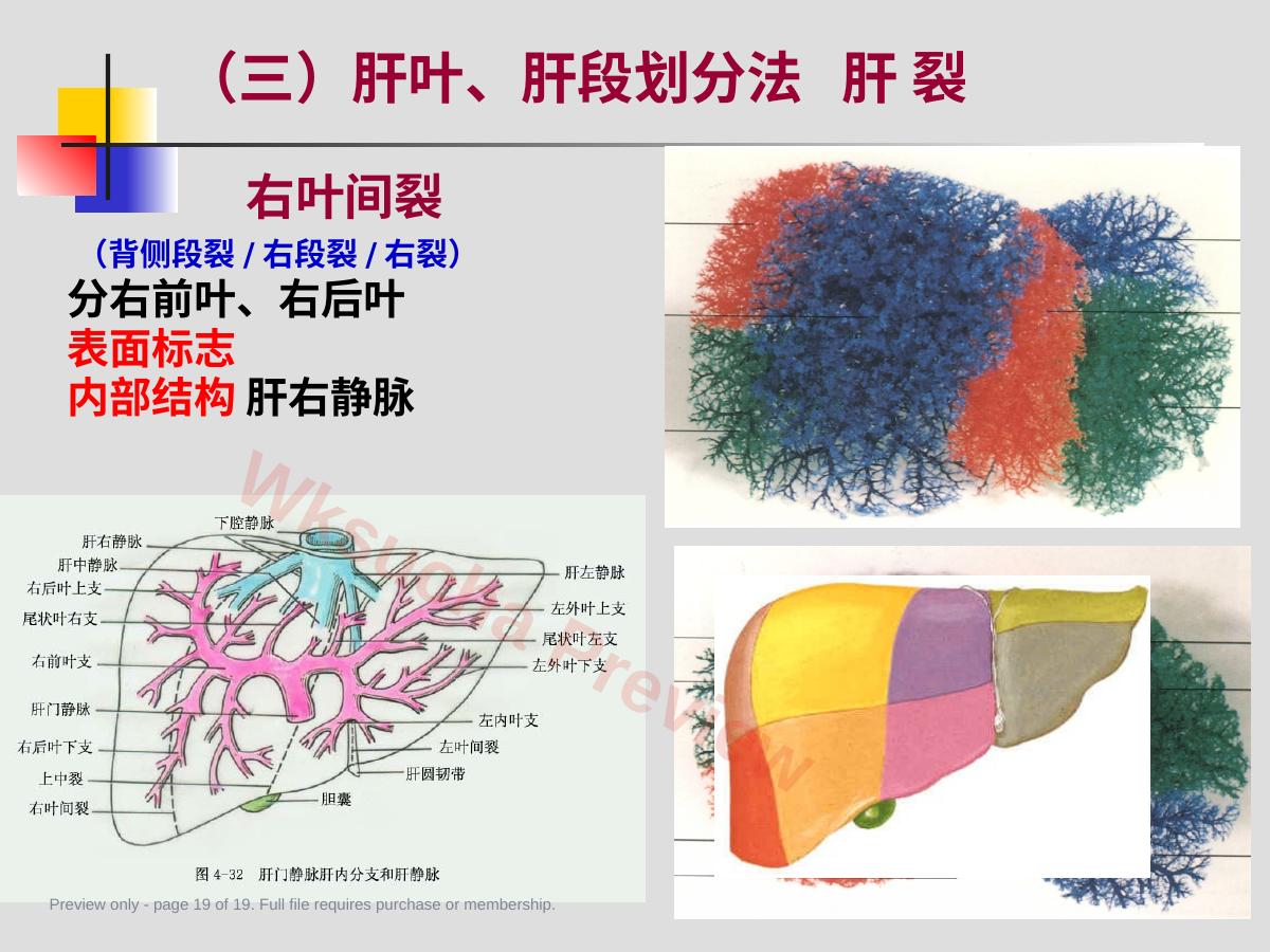 预览第 19 页