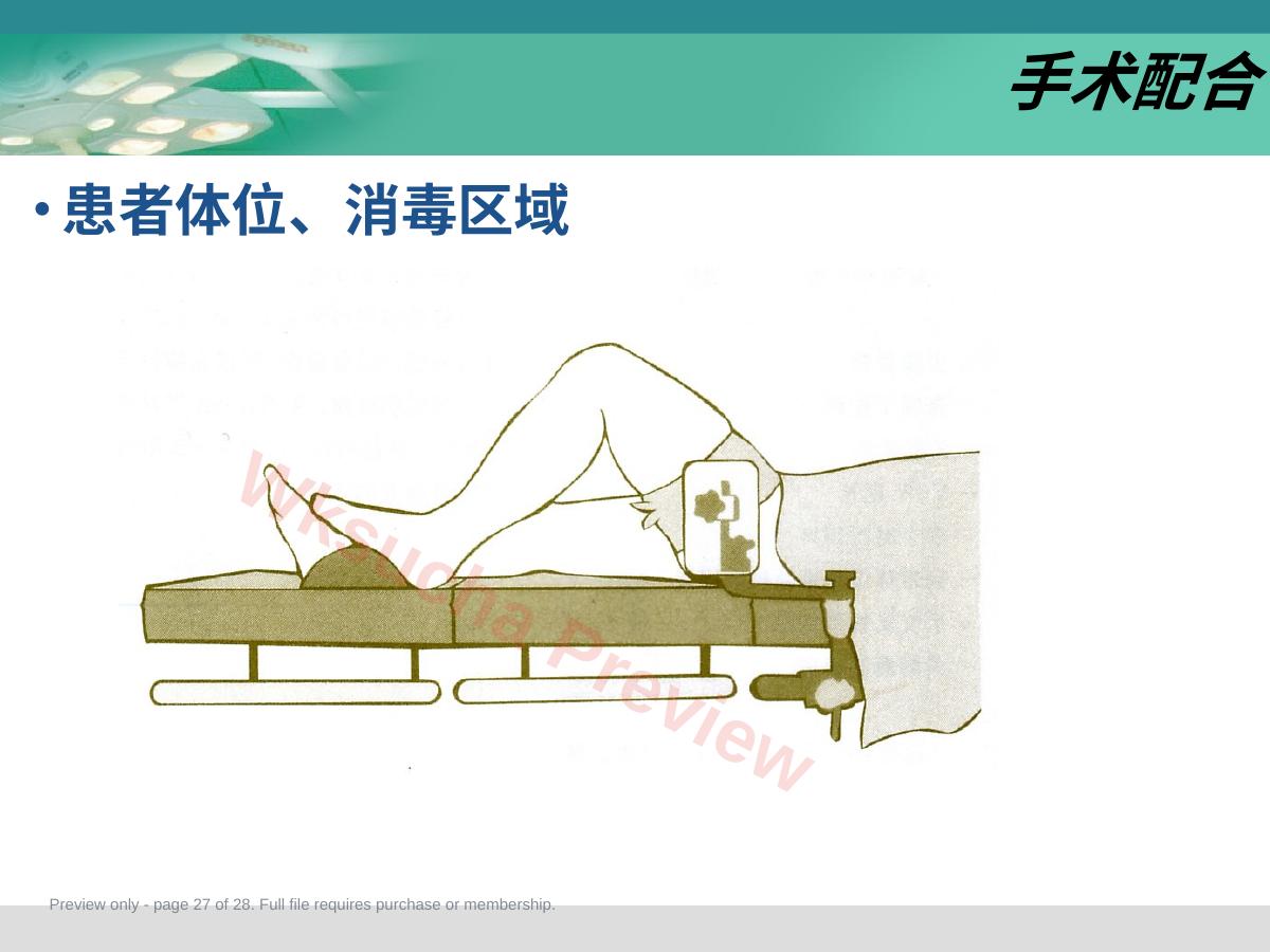 预览第 27 页