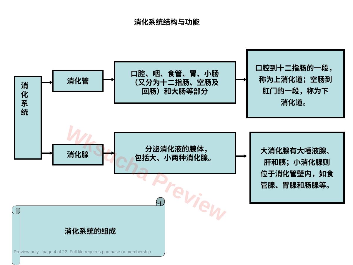 预览第 4 页