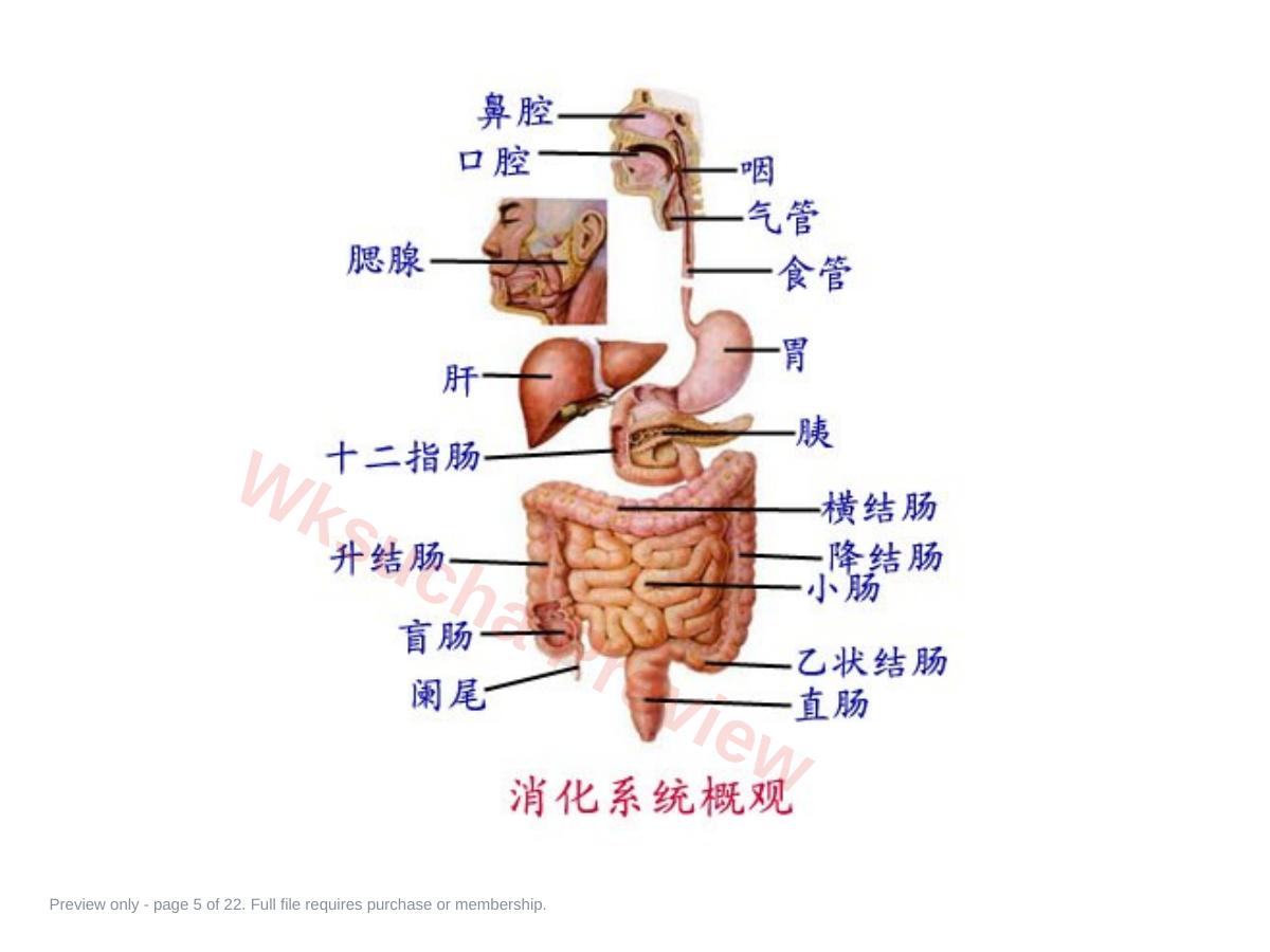 预览第 5 页