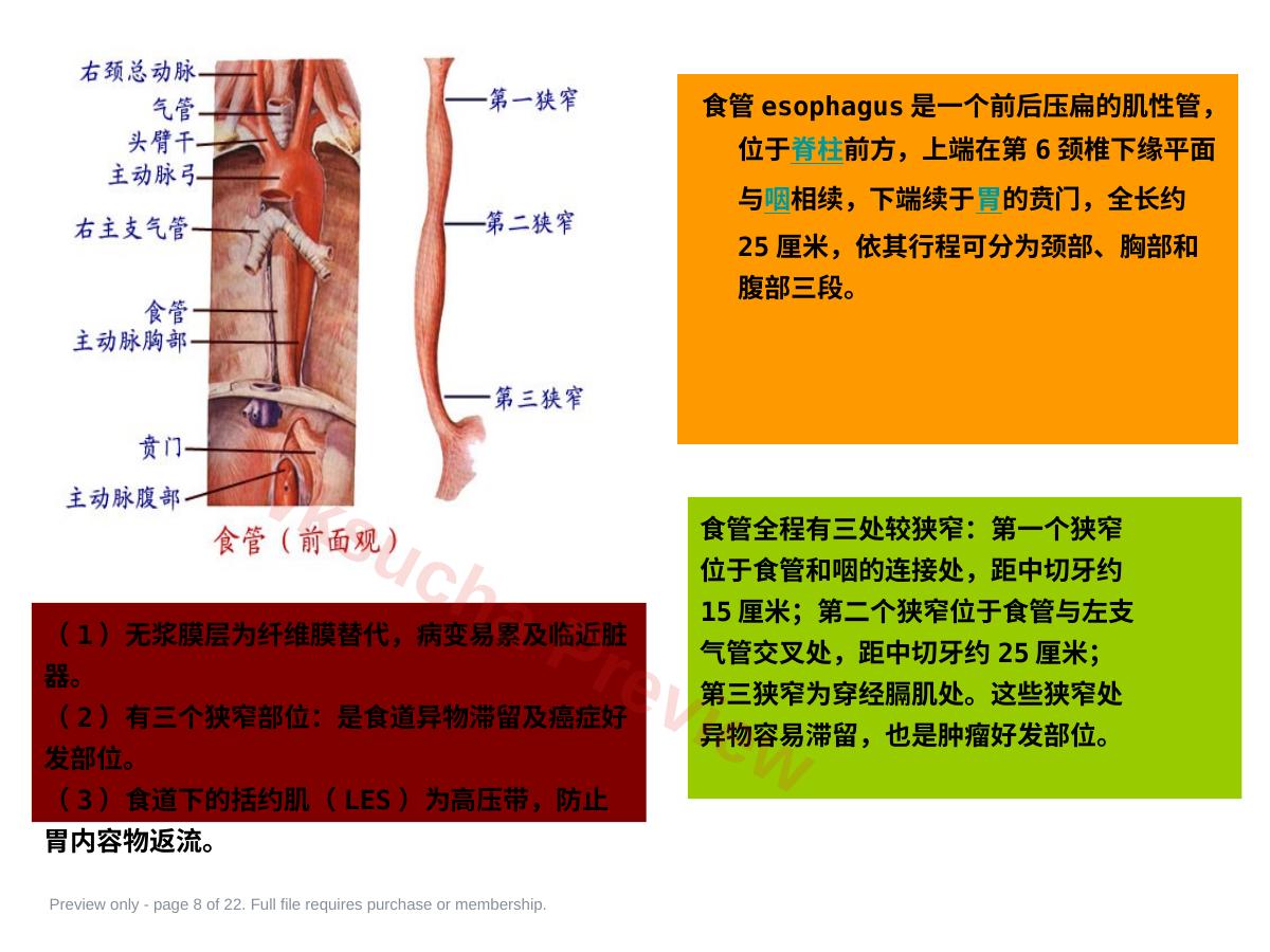 预览第 8 页