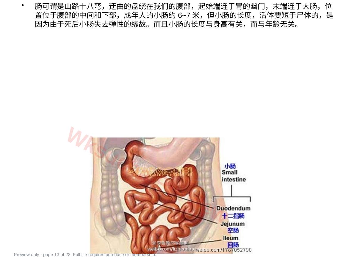 预览第 13 页