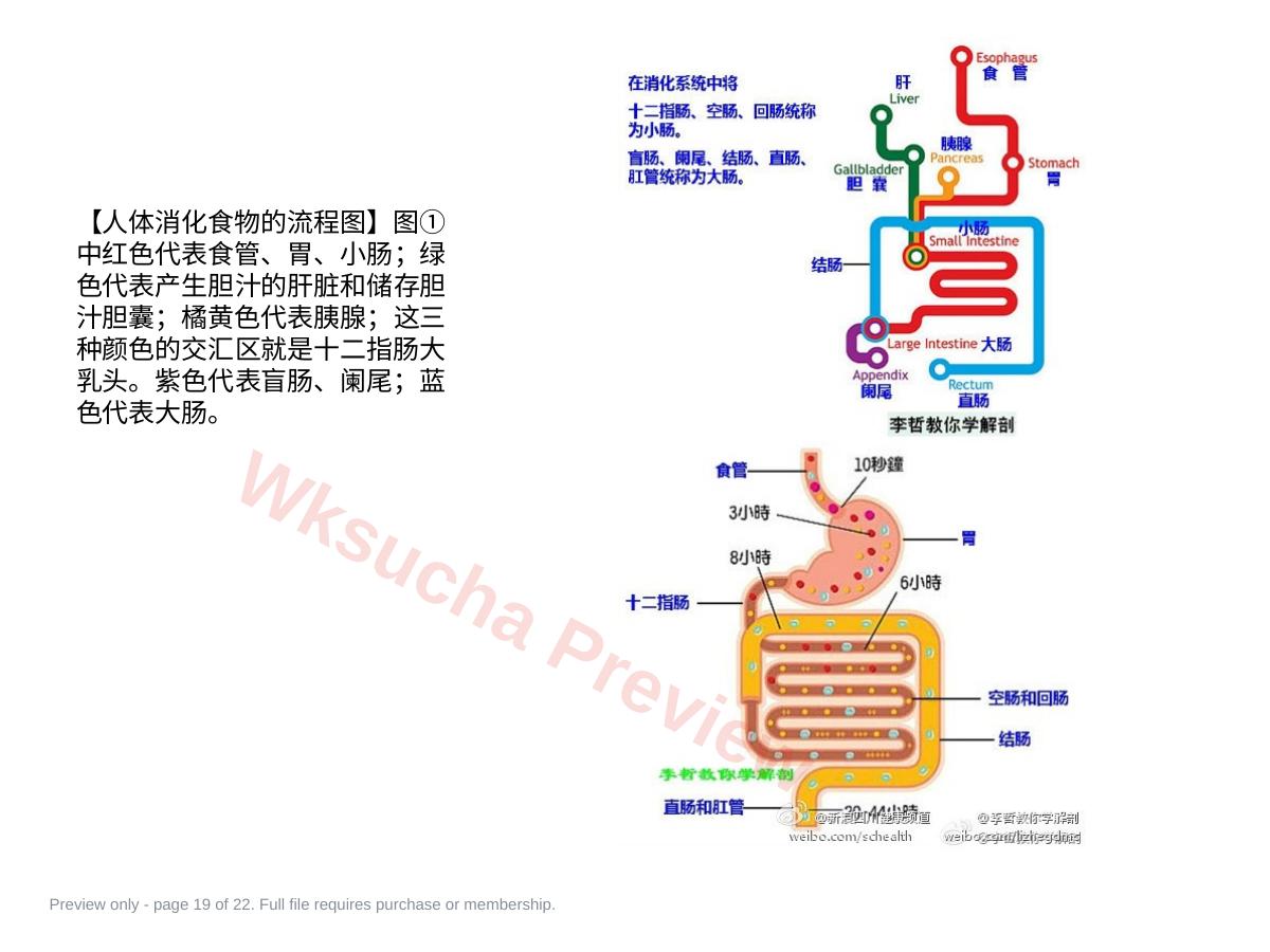 预览第 19 页