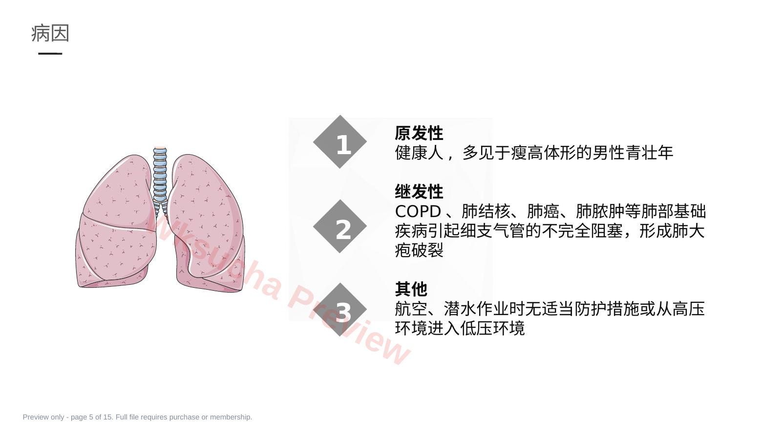 预览第 5 页
