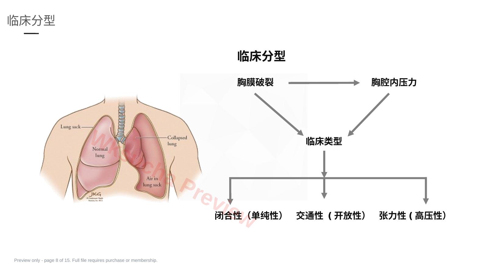 预览第 8 页