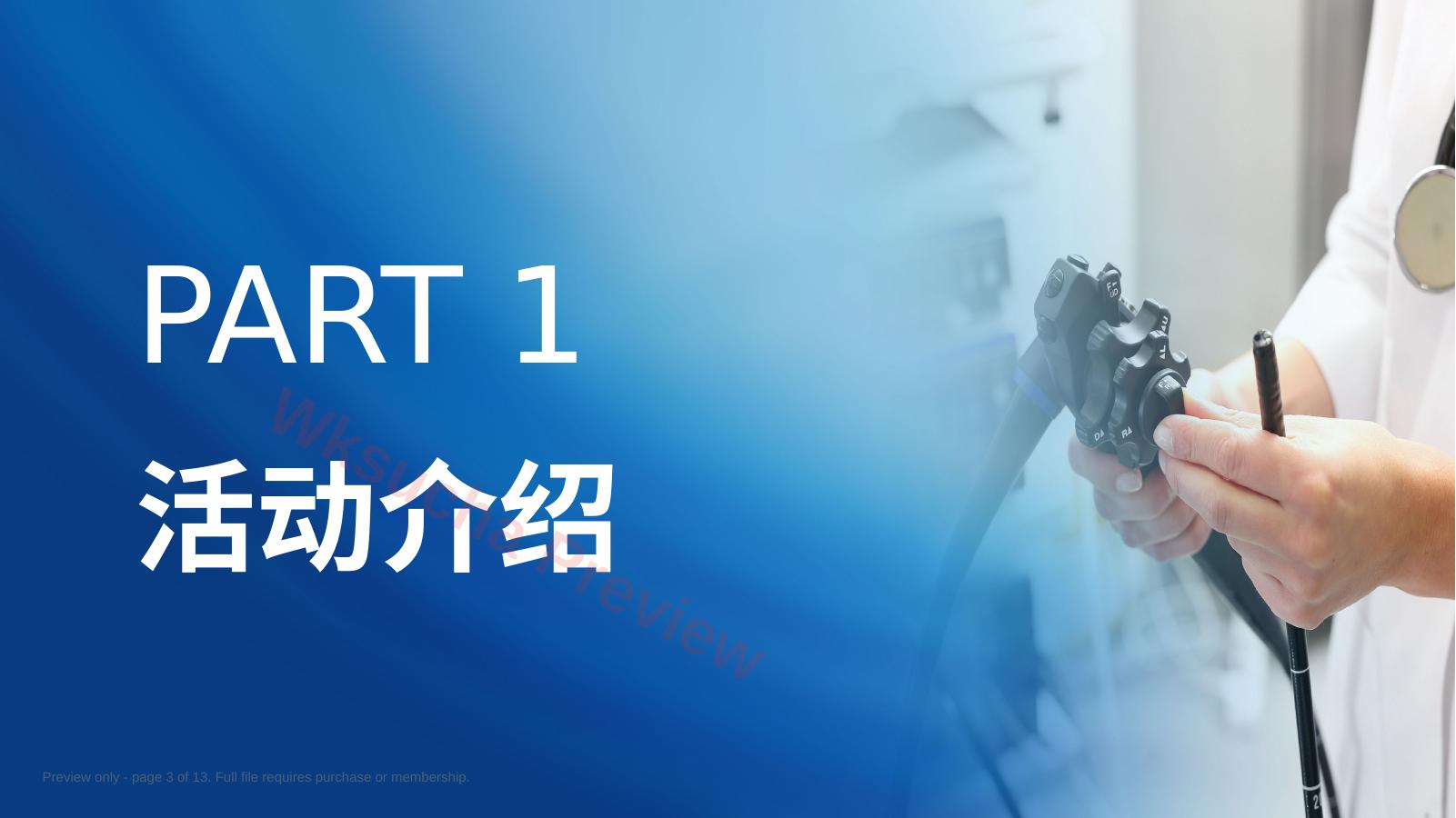 预览第 3 页