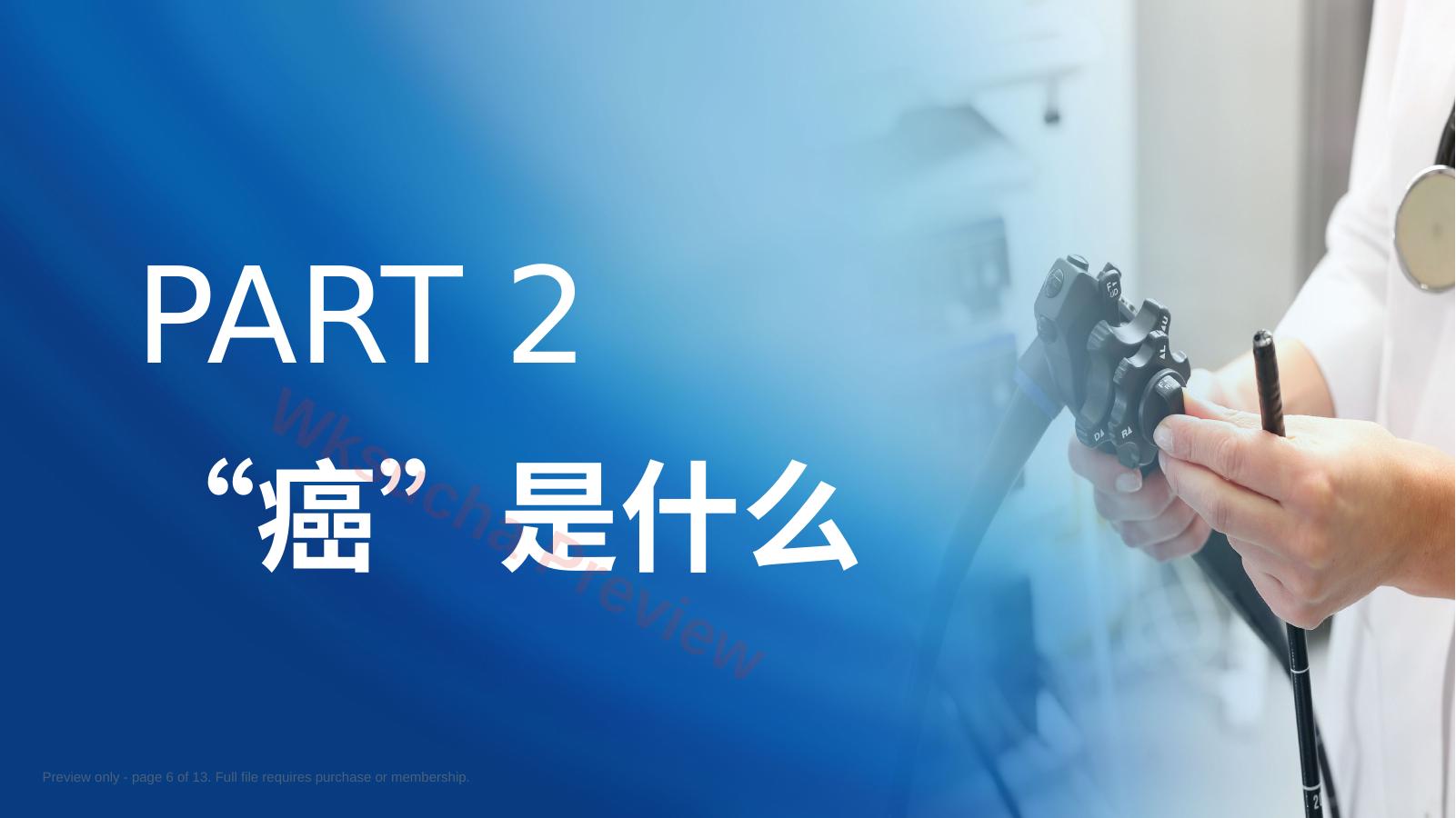 预览第 6 页