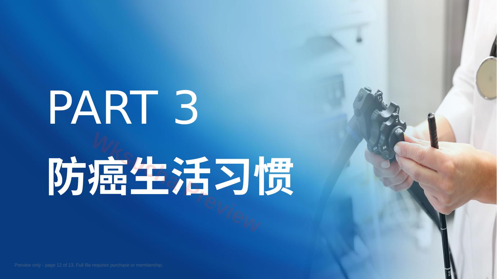 预览第 12 页