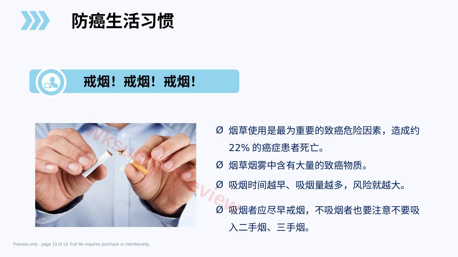 预览第 13 页