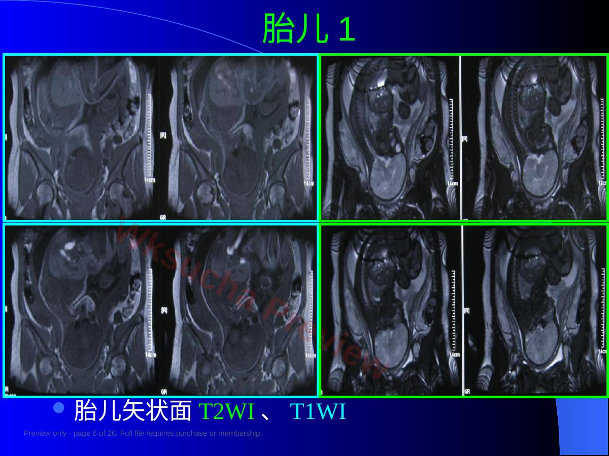 预览第 6 页