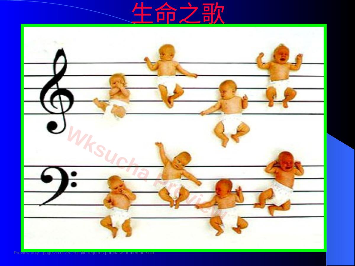 预览第 20 页