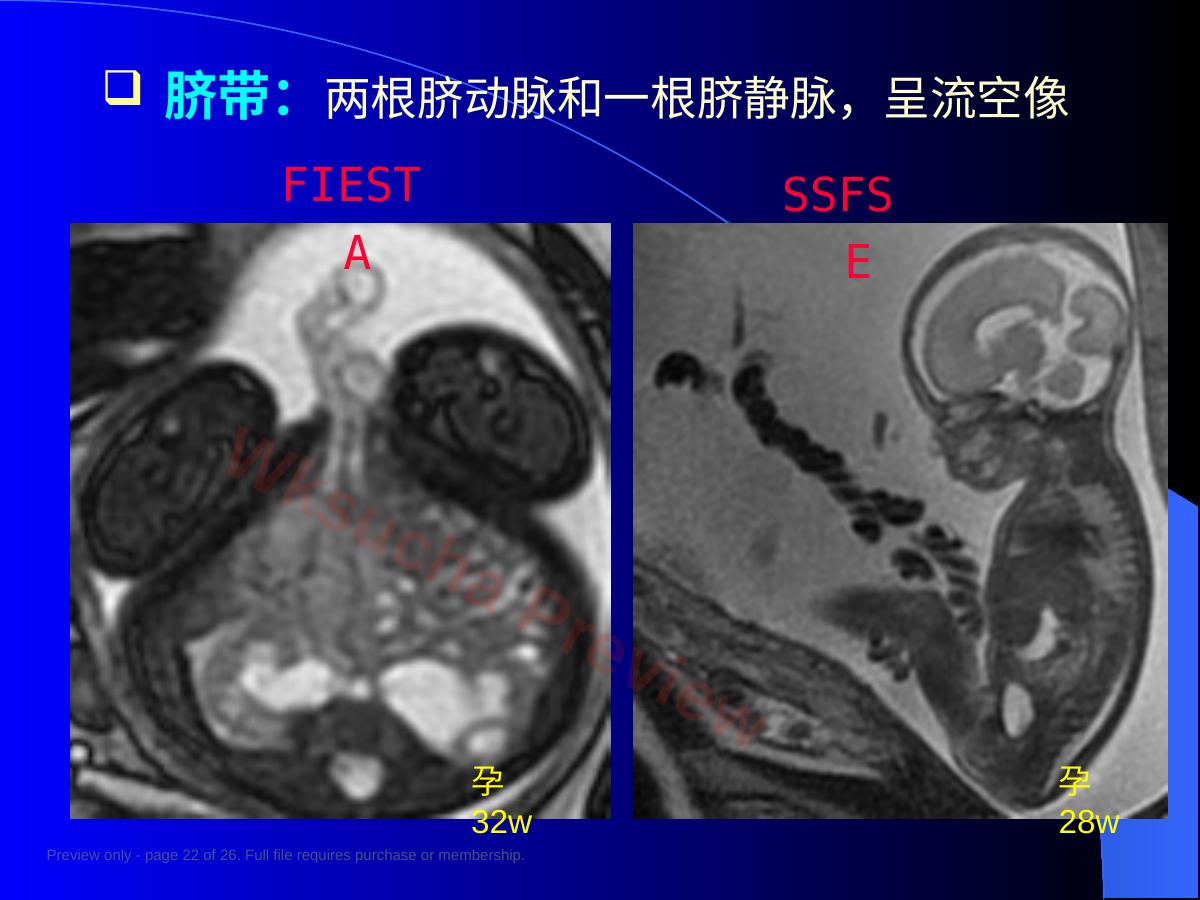 预览第 22 页
