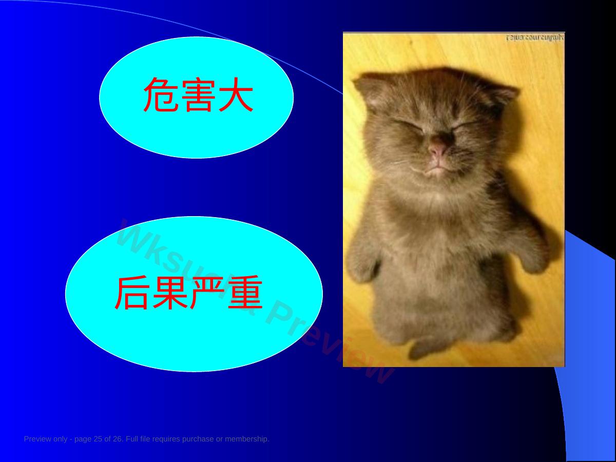 预览第 25 页