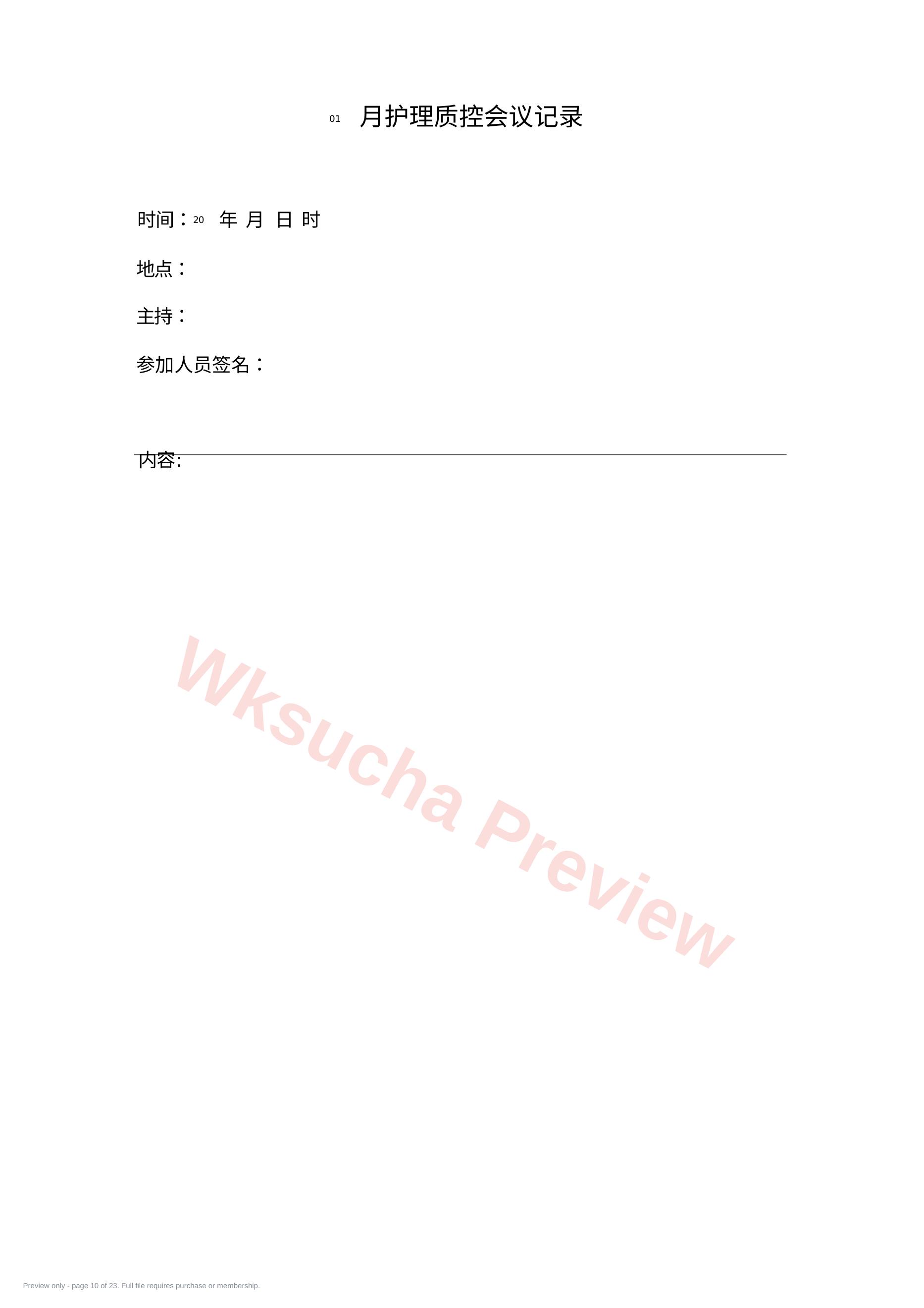 预览第 10 页
