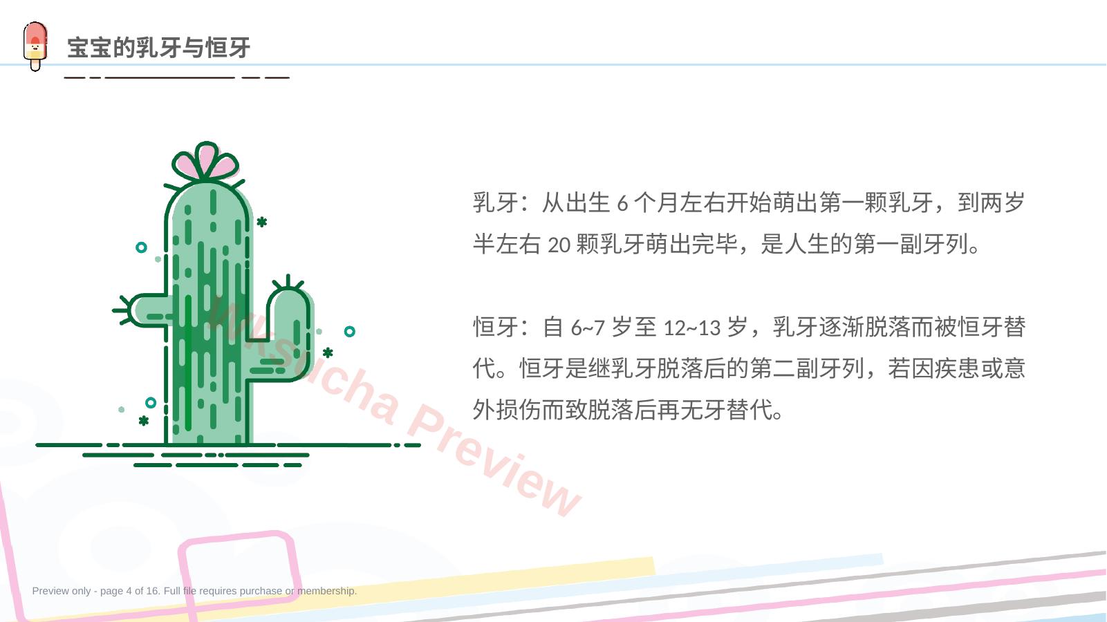 预览第 4 页