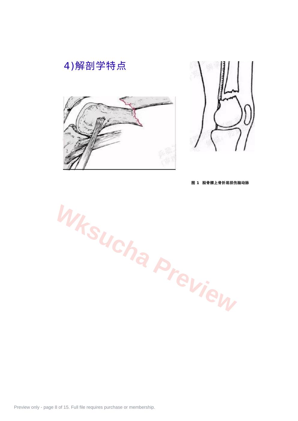 预览第 8 页