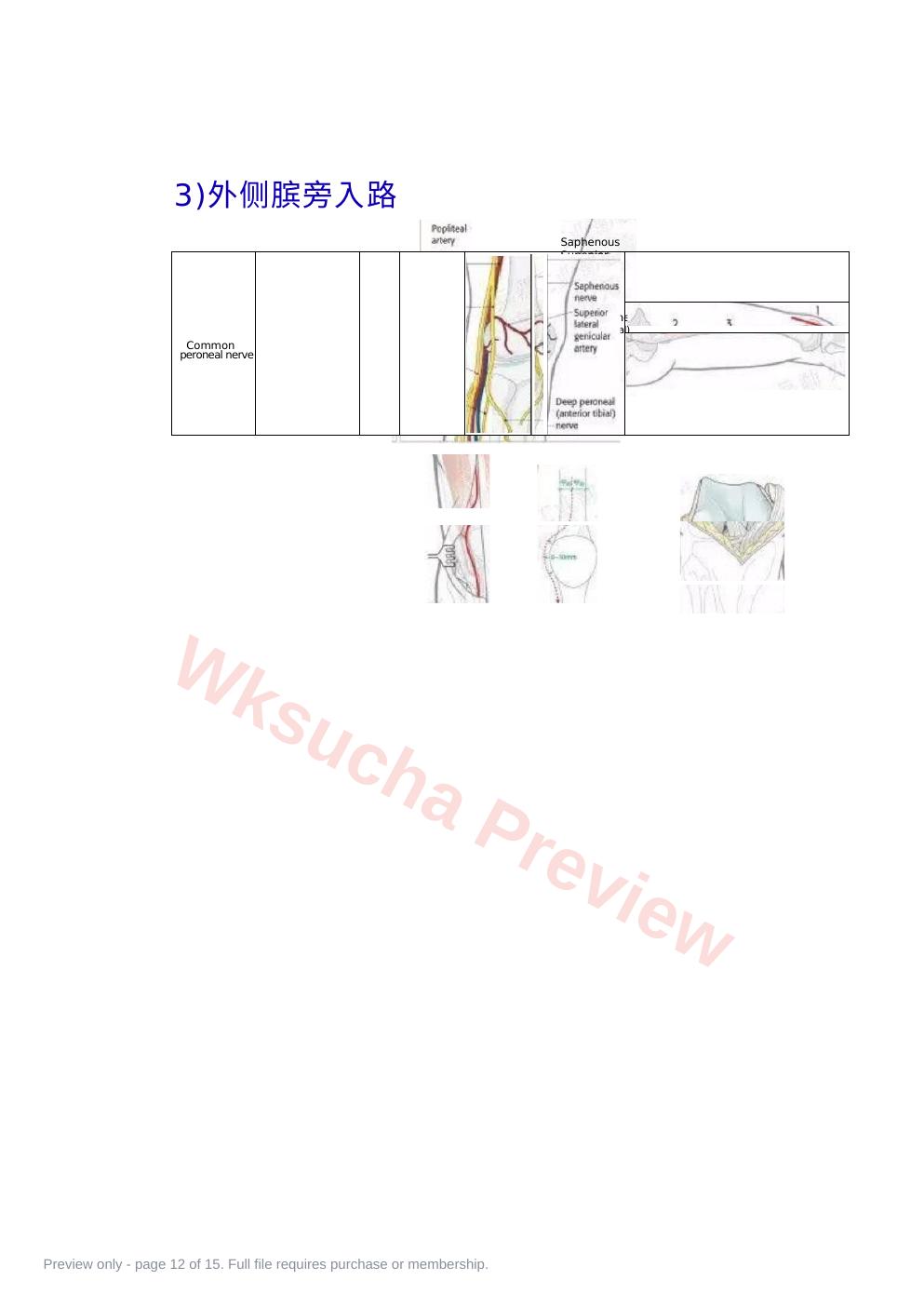 预览第 12 页