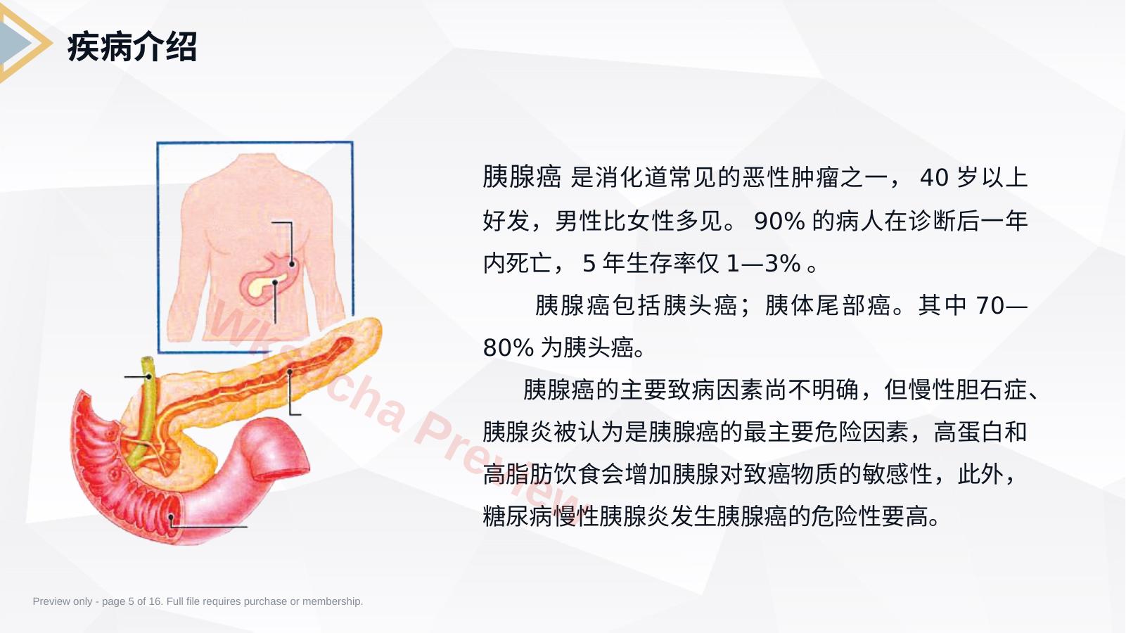 预览第 5 页