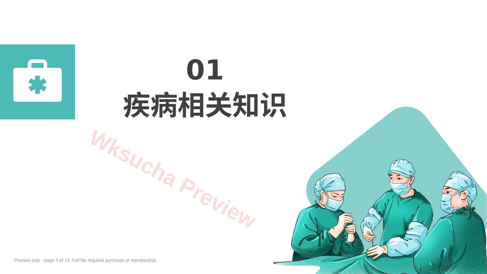 预览第 3 页